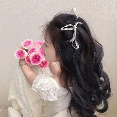 双生劫迎娶公主登上帝位